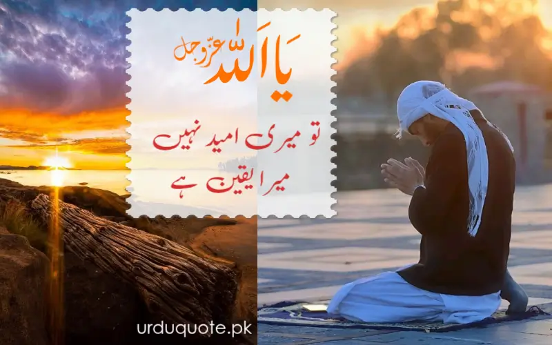 the best islamic quote in urdu to trust in Allah