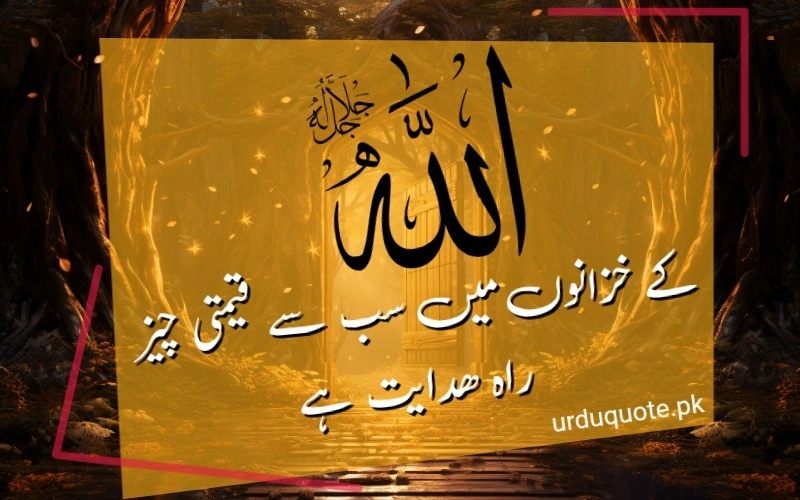 urdu quote image| اللہ کے خزانوں میں سب سے قیمتی چیز راہ ہدایت ہے