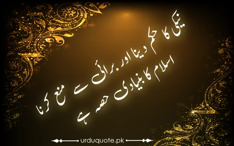 amar bil-maroof, beauty of islam