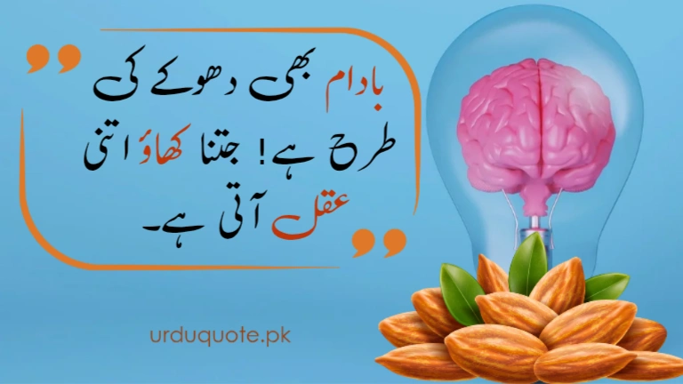Funny yet wise Urdu quote about deception and intelligence