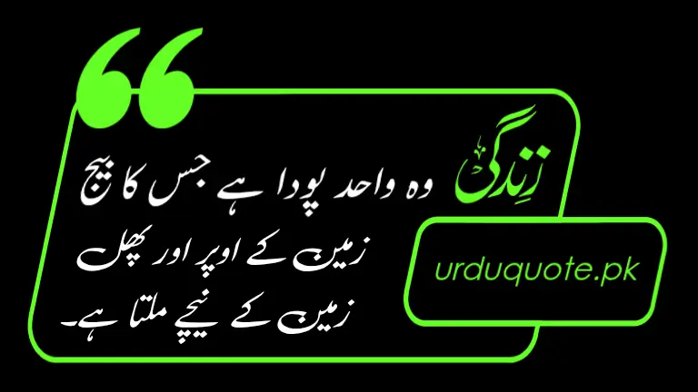 Best Life Quote in Urdu – زندگی پر بہترین اردو اقتباس"