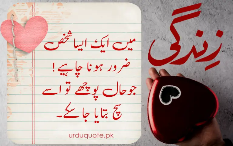 Urdu quote about true friendship – Someone who understands you