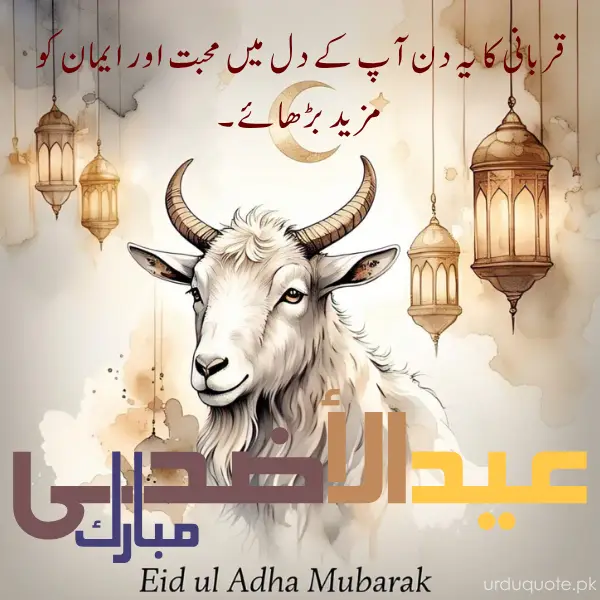 Eid ul Adha Mubarak in urdu with goat and hanging lanterns with Urdu blessing