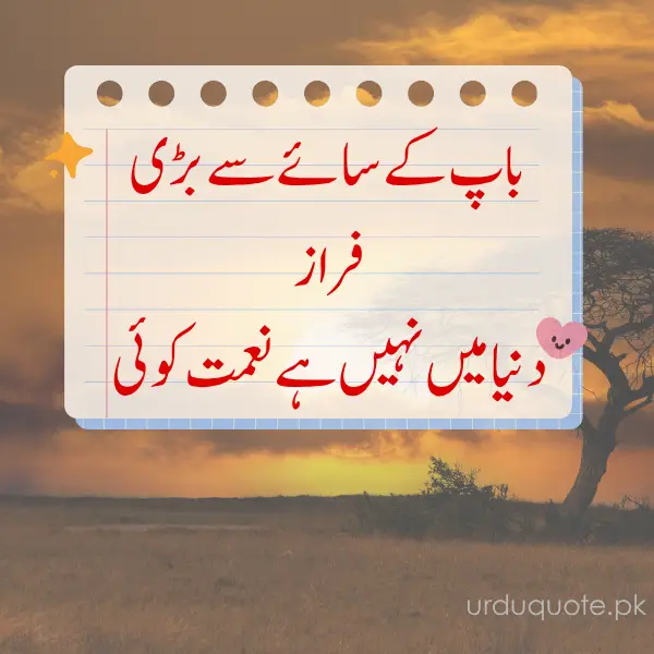 There’s no greater blessing in the world than the shade of a father. - father quotes in Urdu