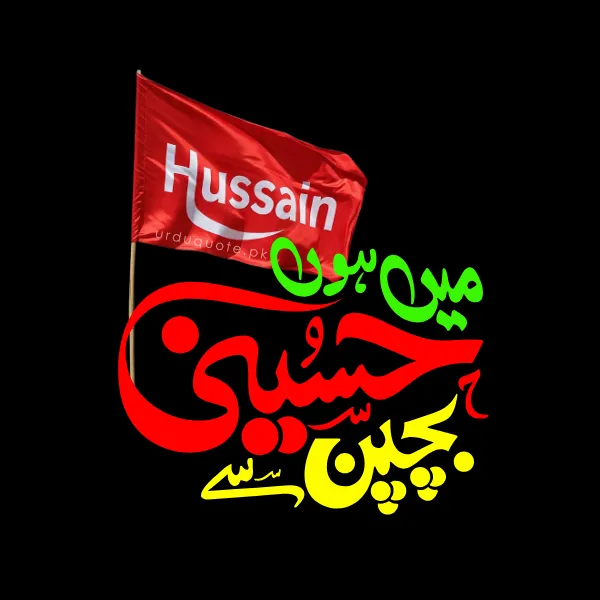 mein hussaini hon dp pic