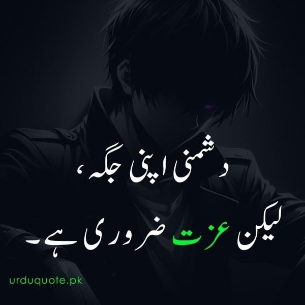boys killer attitude quote in urdu