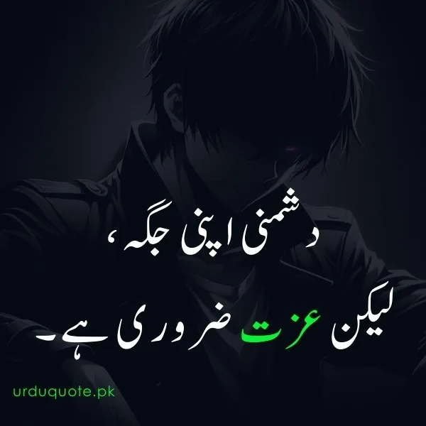 boys killer attitude quote in urdu
