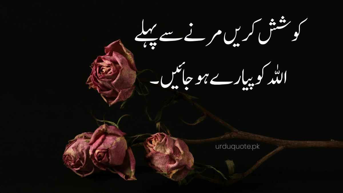 50+ Emotional Allah Quotes in Urdu for True Spiritual Inspiration