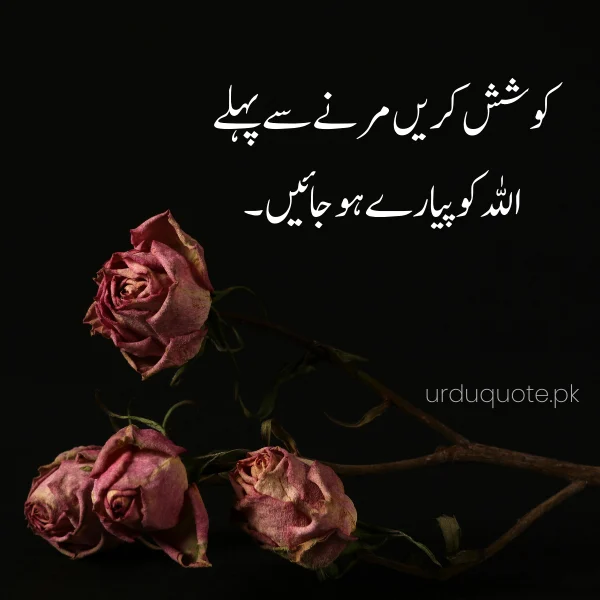 urdu quotes in urdu