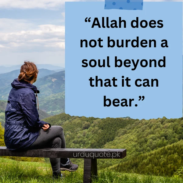 no extra burden