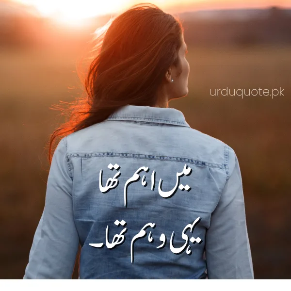 misunderstand urdu poetry