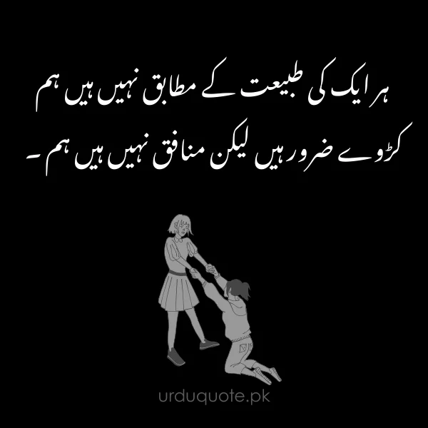 attitude friendship poetry in urdu