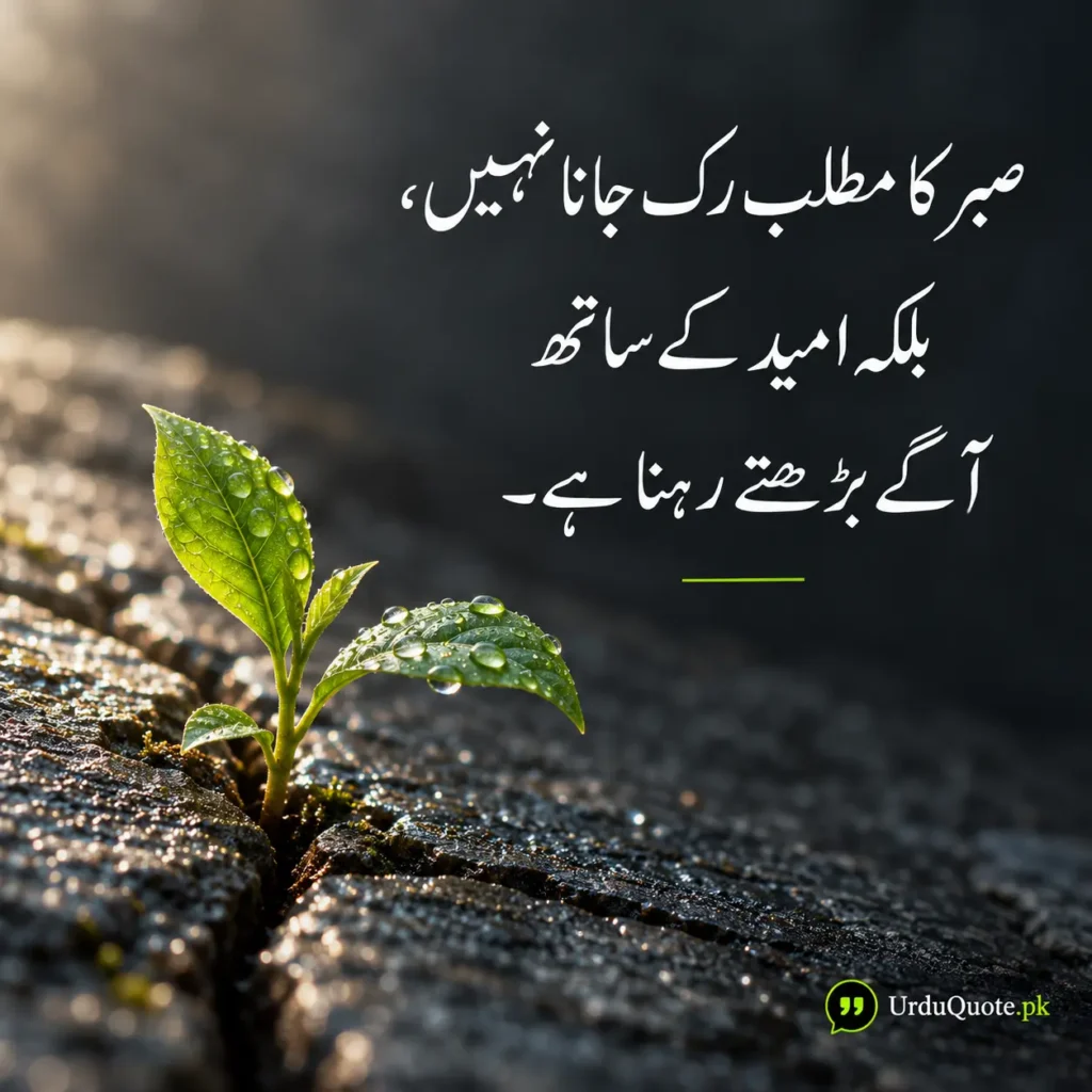 hopful quote